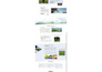 design, redesign your divi website as a wordpress developer, website development
